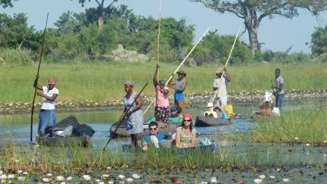 3-Day Fully Catered Mokoro (Canoe) Safari Okavango Delta safari tour