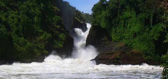 3-Day Murchision Falls NP and Rhino Sanctuary safari tour