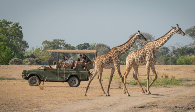 3-Day Flying Luxury Safari Zanzibar to Nyerere National safari tour