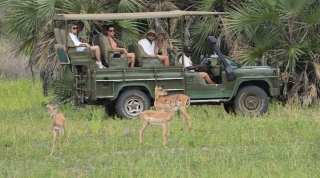 3-Day Flying Safari Zanzibar to Nyerere Np Private safari tour