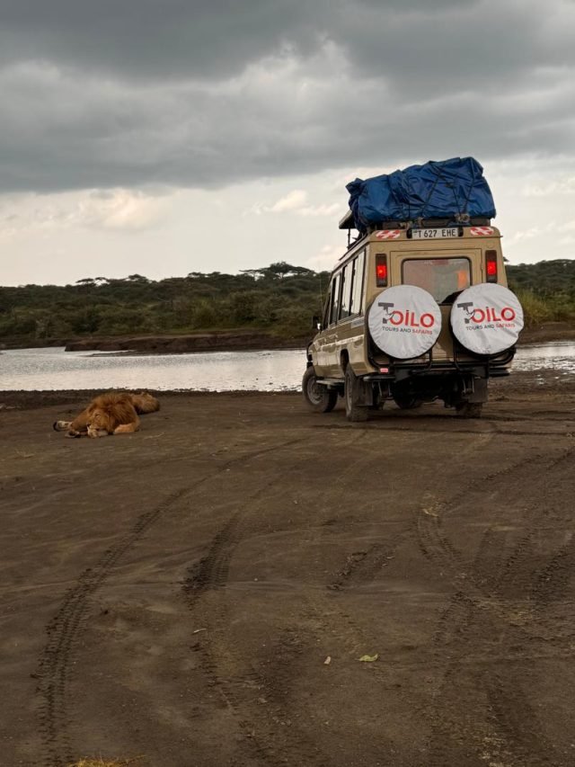 4-Day Group Tour to Tarangire Serengeti Ngorongoro safari tour