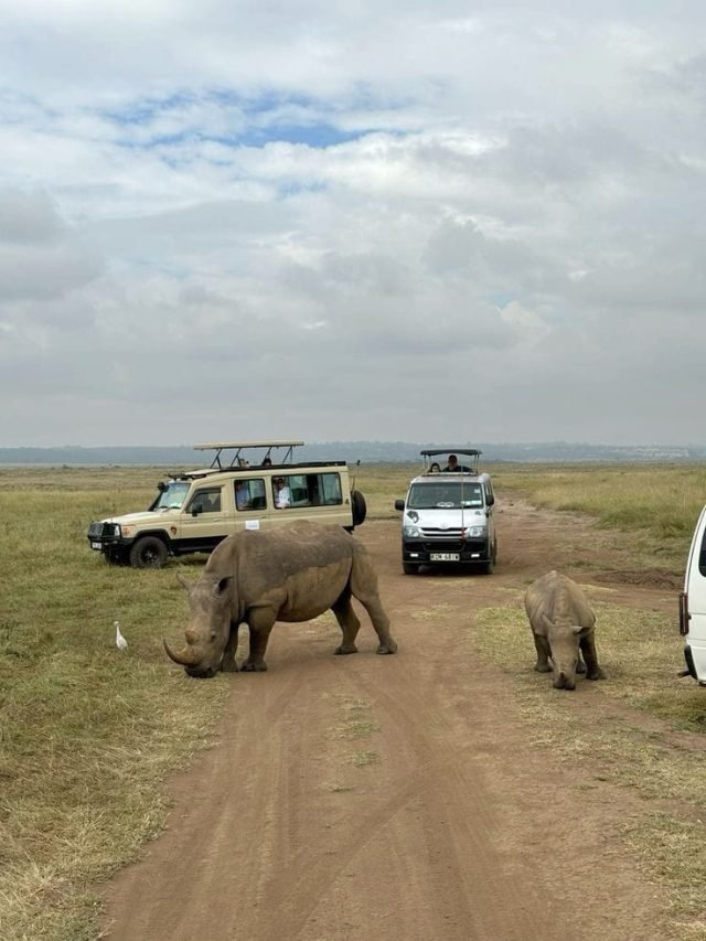 4-Day Masai Mara & Hells Shared Jeep Safari safari tour