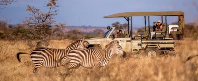 6-Day Comfort safari Tanzania -Mid Range Tour safari tour