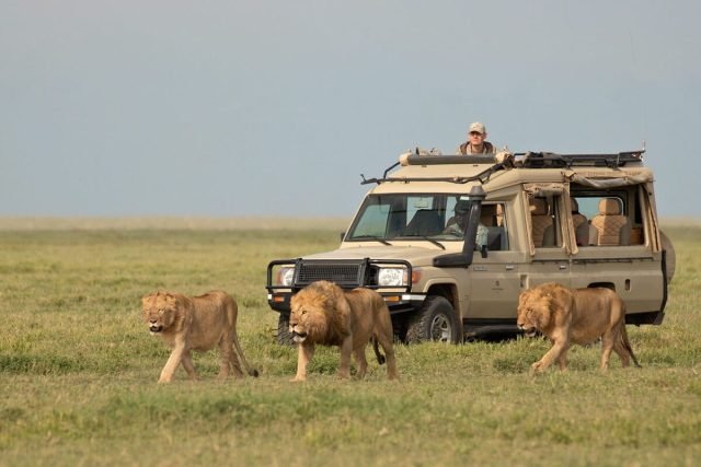 5-Day 5 Nights Experience Tanzania Adventures safari tour
