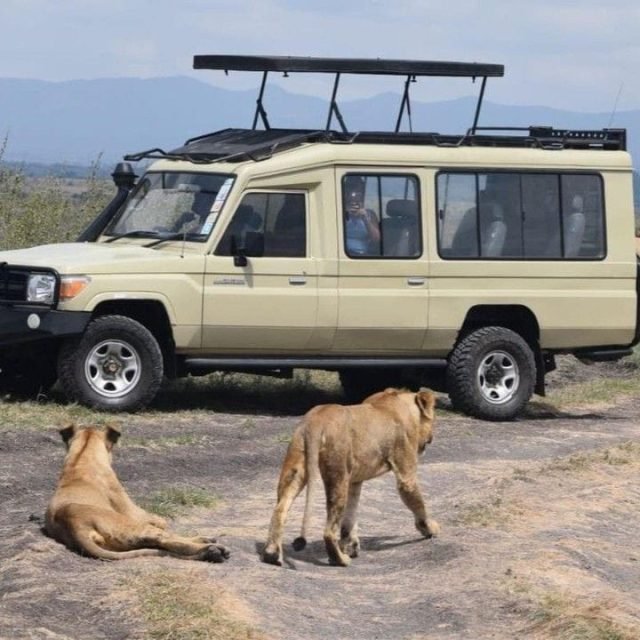 6-Day Masai Mara, Lake Nakuru & Amboseli Shared Jeep Safari safari tour