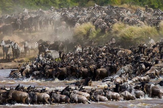 3-Day Celestial Plains Safari in Tanzania safari tour