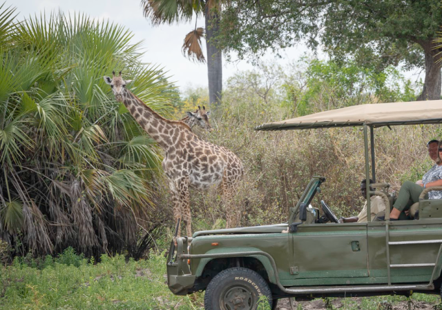 1-Day Safari Zanzibar to Nyerere Np (Selous Gr) safari tour