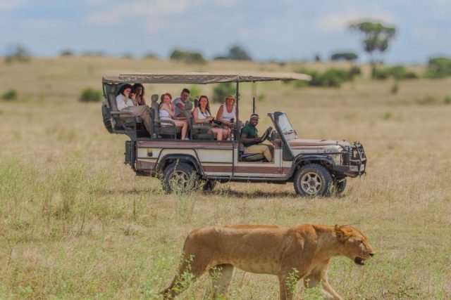 2-Day Flying Zanzibar To Nyerere National Park safari tour