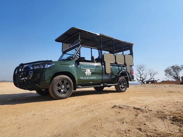 1-Day Full-day Kruger Park Safari safari tour