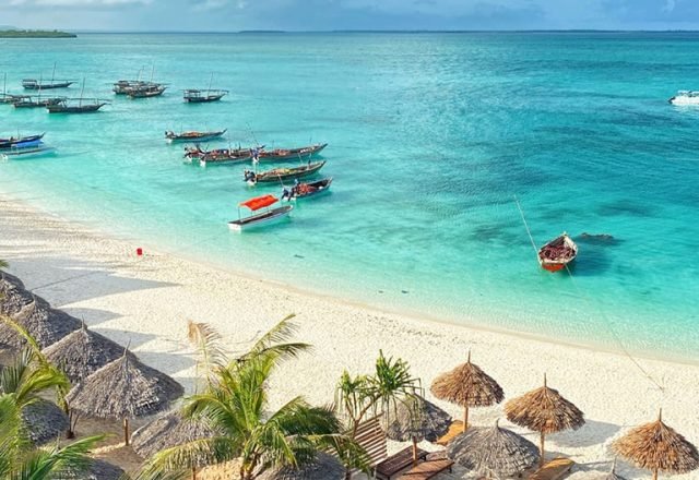 13-Day Southern Safari And Kilwa Beach safari tour