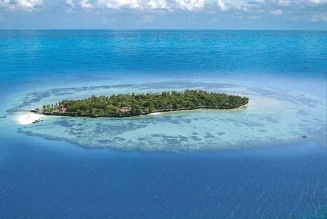 1-Day Zanzibar:Private Tour with Prison Island and Spice Farm safari tour