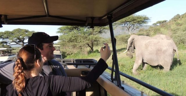 4-Day Kilimanjaro Waterfall, Serengeti & Ngorongoro safari tour