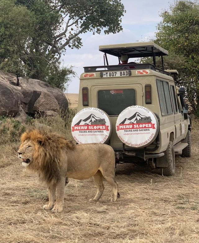 7-Day Mid Range Tour to Serengeti Wildebeest Migration safari tour