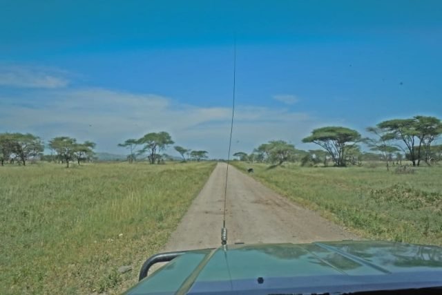 3-Day Maasai Mara Private Safari From Nairobi: safari tour