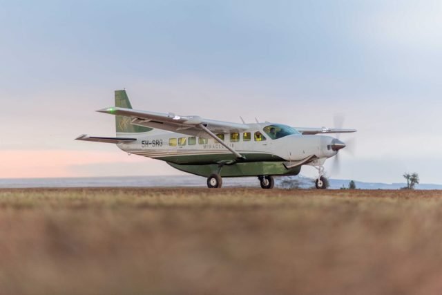 1-Day Selous Day Trip Safari From Zanzibar safari tour