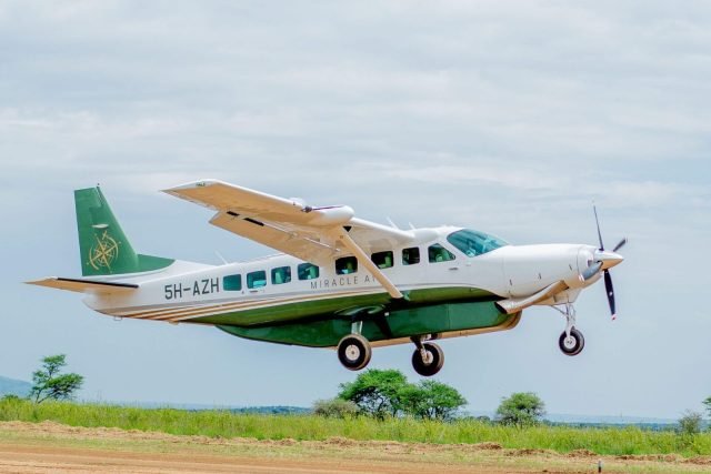 1-Day Mikumi Day Trip Safari From Zanzibar safari tour