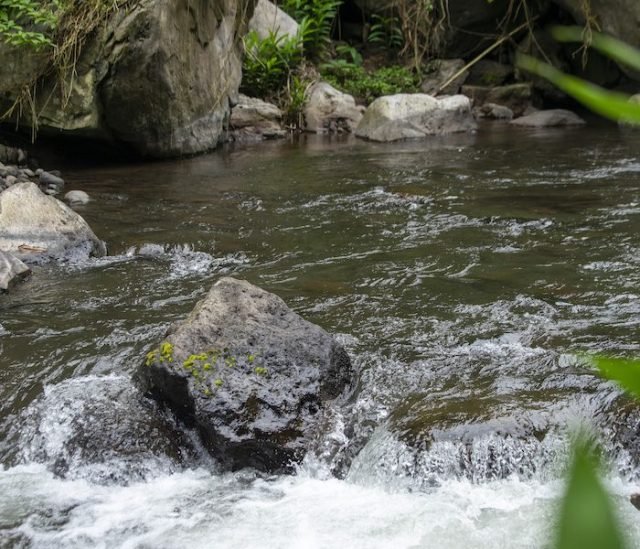 1-Day Materuni Day Trip From Arusha/ Moshi safari tour