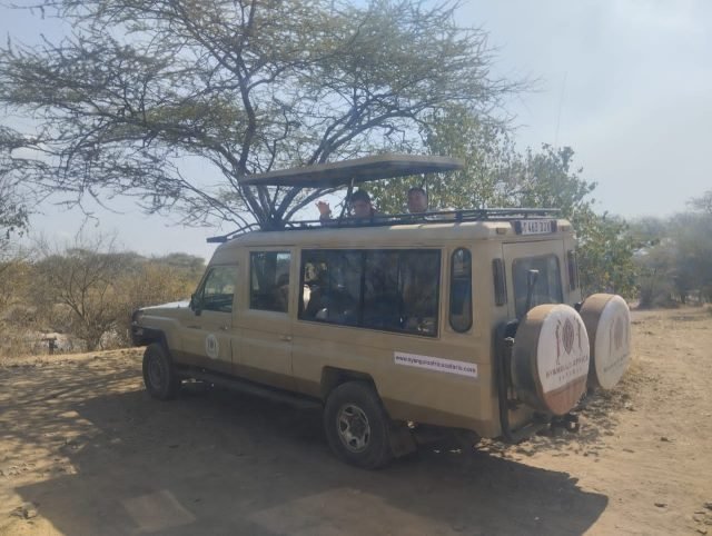 9-Day Ndutu Calving Season and Masai Mara Safari Experience safari tour