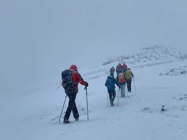 6-Day Kilimanjaro Climbing Via Machame Route: safari tour
