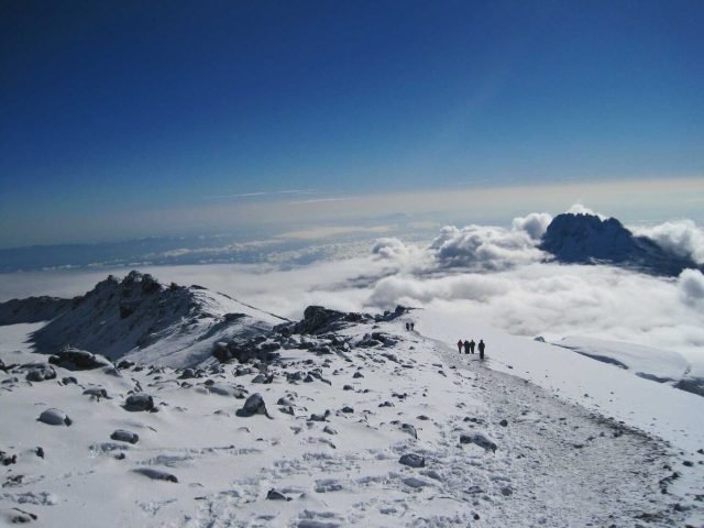 6-Day Kilimanjaro Climbing Via Lemosho Route: safari tour