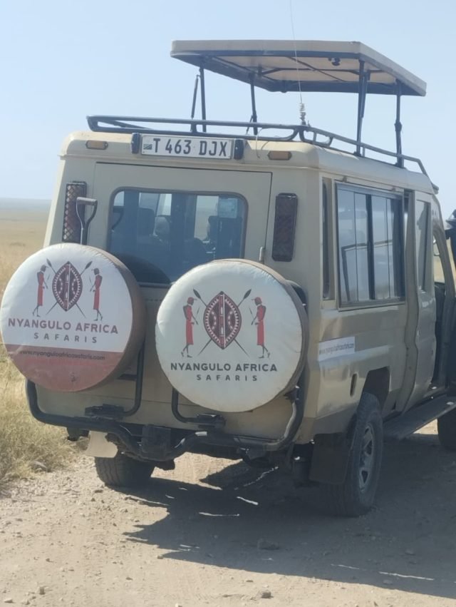 8-Day Serengeti Great Migration ( July to October) safari tour