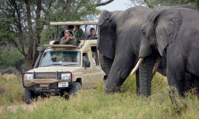 5-Day Tanzania Safari – Tarangire, Serengeti & Ngorongoro safari tour