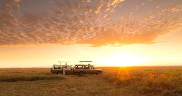 7-Day Ultimate Northern Tanzania Safari: safari tour