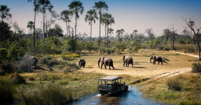 1-Day Full Day Trip to Chobe National Park safari tour