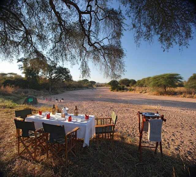 3-Day FLY-In Safari to Selous Game Reserve from Zanzibar. safari tour