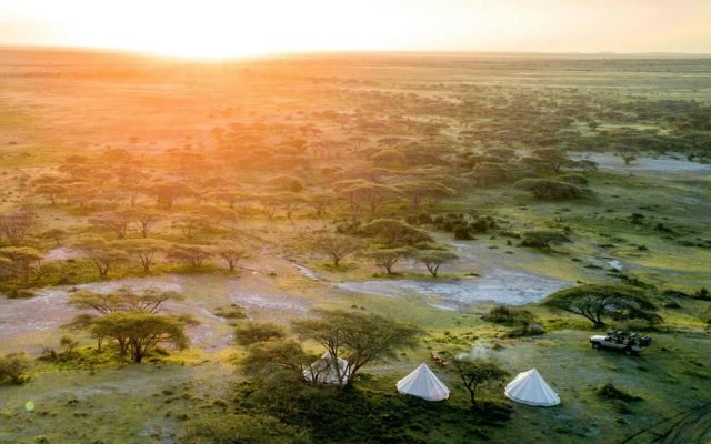 4-Day FLY-In Serengeti Migration Safari from Zanzibar safari tour