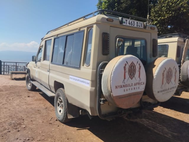 2-Day Ngorongoro and Tarangire FLY-in Safari from Zanzibar safari tour