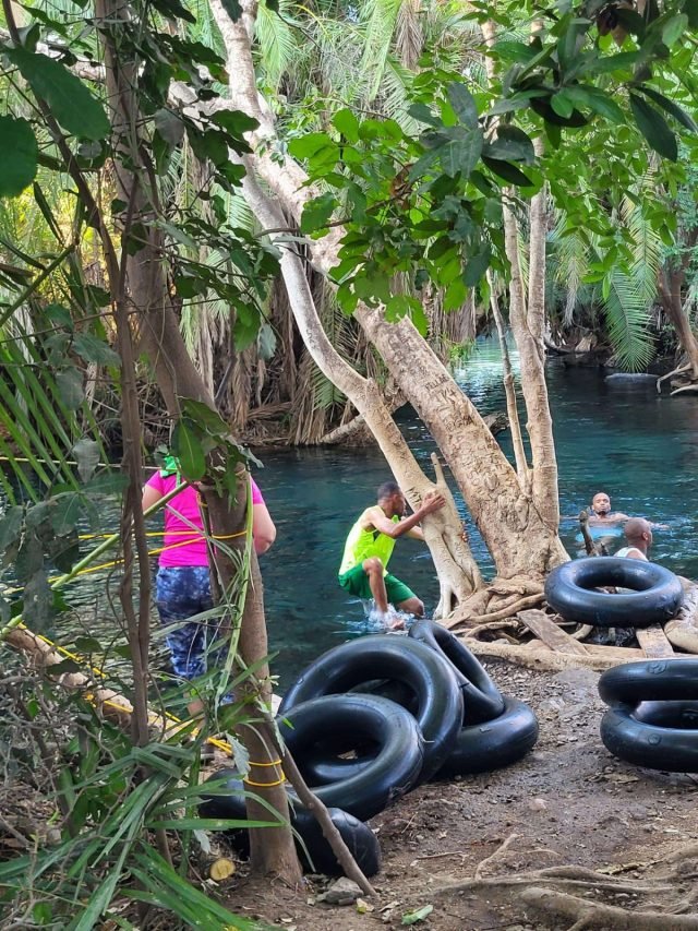 1-Day Kikuletwa Hot Springs safari tour