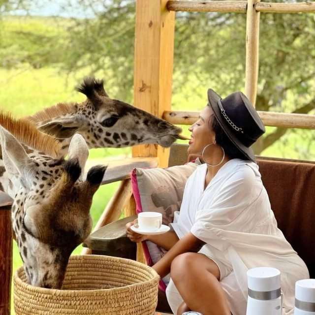 1-Day Serval Wildlife Sanctuary safari tour