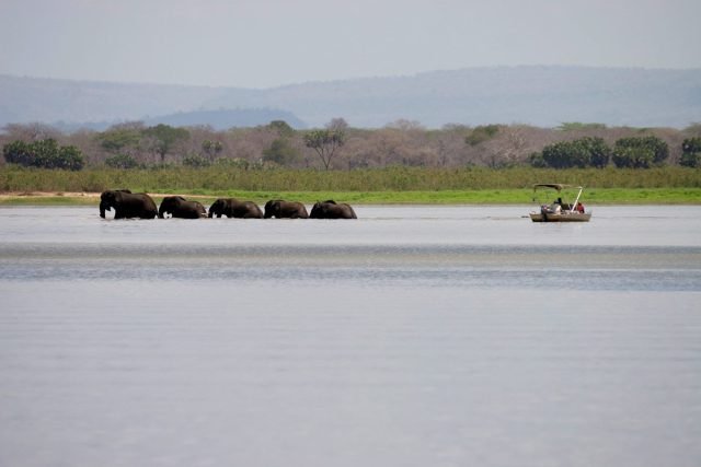 9-Day Southern Circuit Safari and Zanzibar Beach Experience safari tour