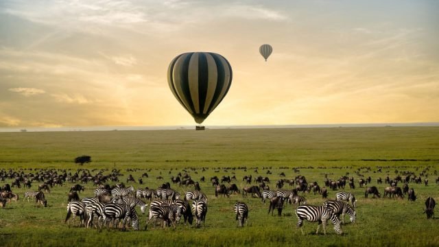 4-Day Serengeti Balloon & Ngorongoro from Zanzibar safari tour