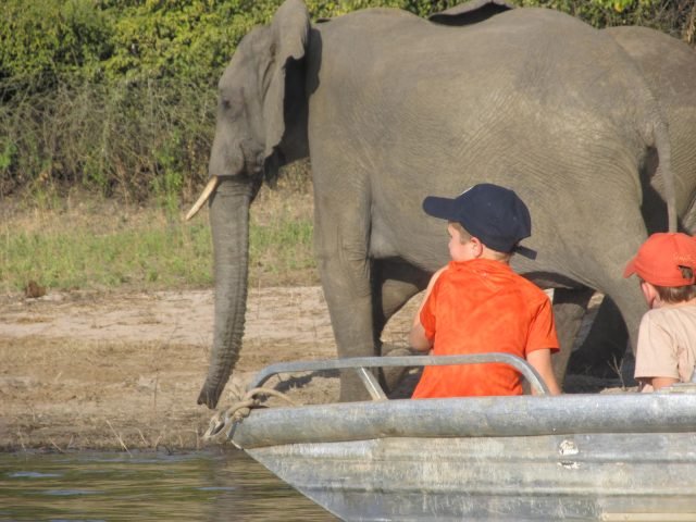 6-Day Magic of Chobe - Botswana safari tour