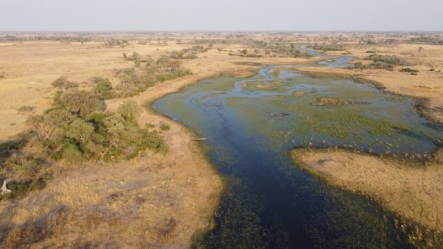 1-Day Okavango Delta Mokoro Day Trip from Maun safari tour