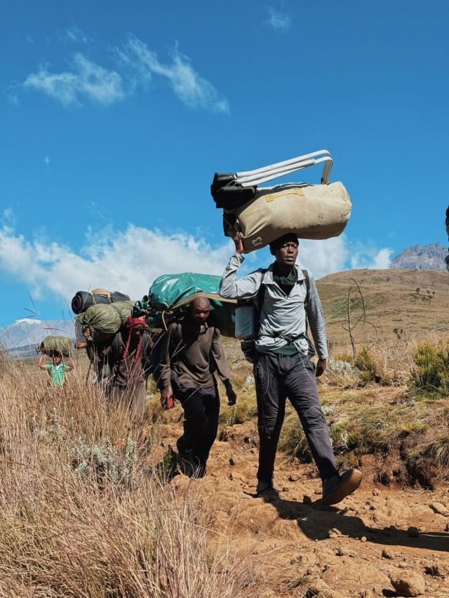 6-Day Kilimanjaro Treks Via Umbwe Route safari tour