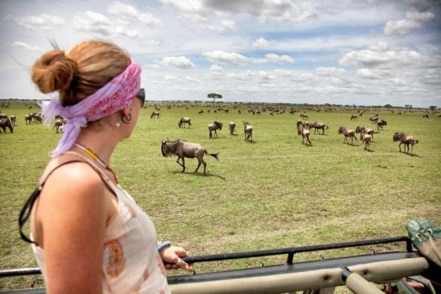 1-Day Ngorongoro Crater Day Trip — from Arusha or Karatu safari tour
