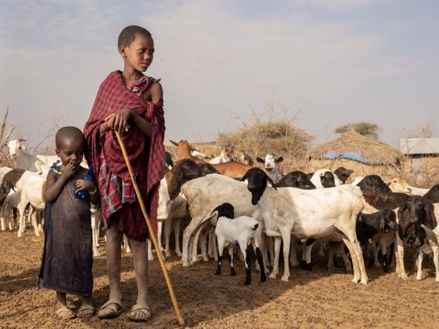 1-Day Serval Wildlife & Maasai Boma Cultural Tour – Full-Day safari tour