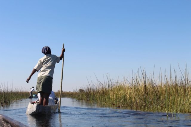 3-Day Okavango Delta Mokoro Stargazing Safari safari tour