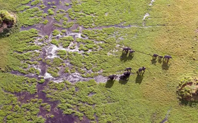 9-Day Classic Victoria Falls safari tour