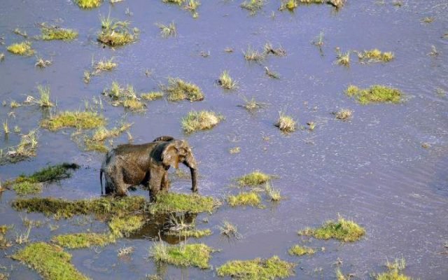 1-Day Okavango Delta Sunset Boat Cruise in Maun safari tour