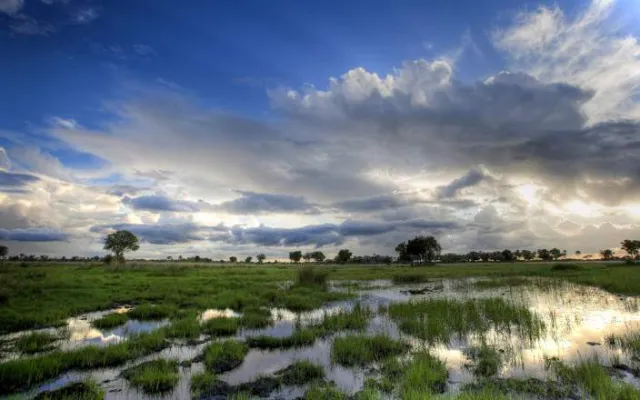 7-Day Delight Khwai, Mababe & Okavango Delta safari tour