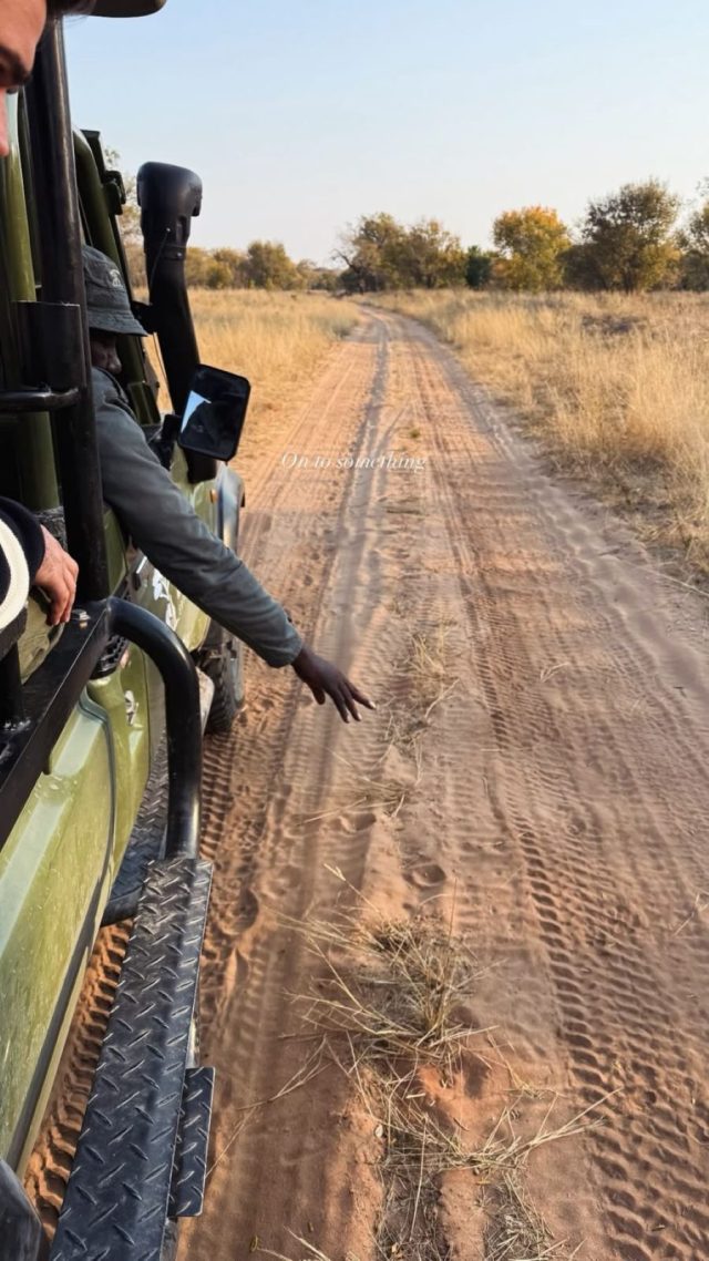 4-Day Khwai Mobile Camping Safari - Journey Into the Wild safari tour