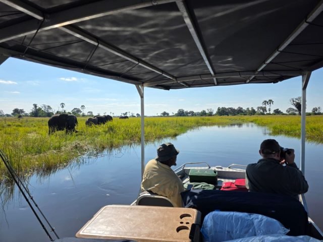 4-Day Whispers of the Delta - Motorized Boat Safari safari tour
