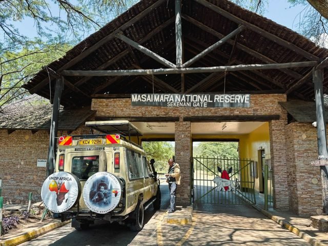 7-Day Masai Mara to Bwindi Adventure safari tour