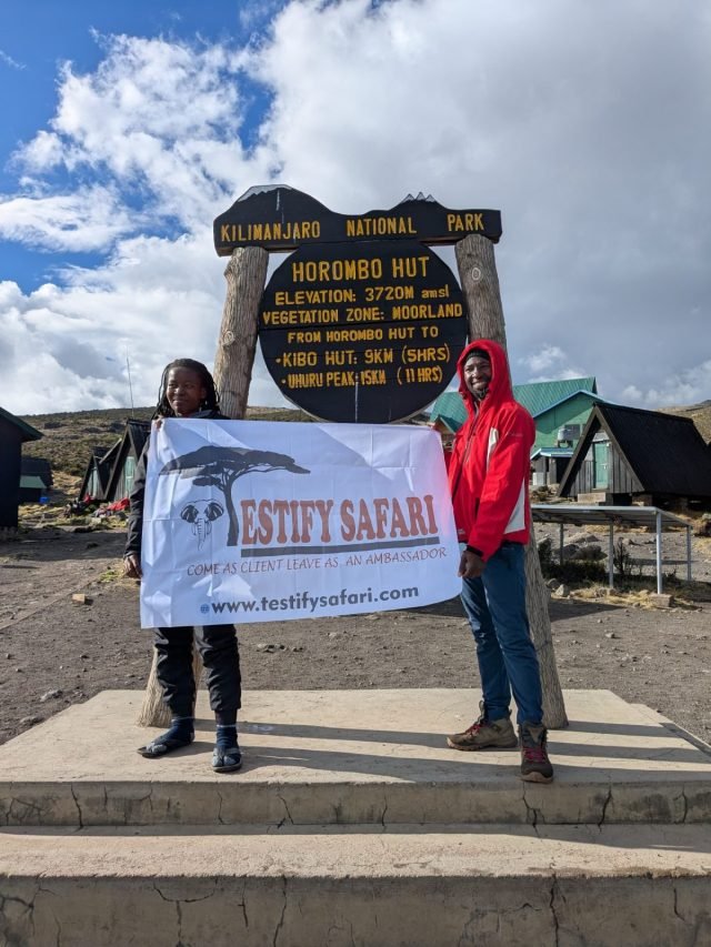 7-Day Machame Route Trekking with Testify Safari safari tour