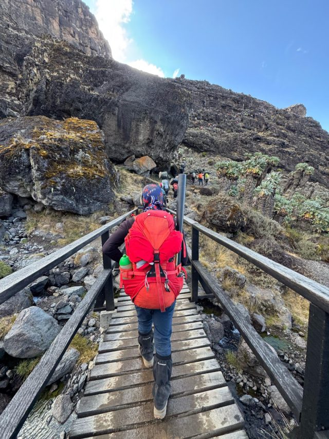 6-Day Rongai Route Trekking