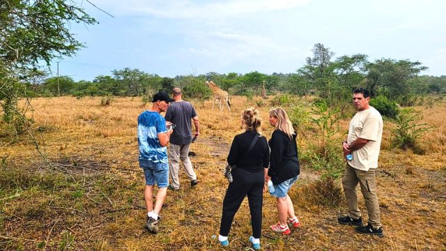 11-Day Best of Uganda Safari safari tour